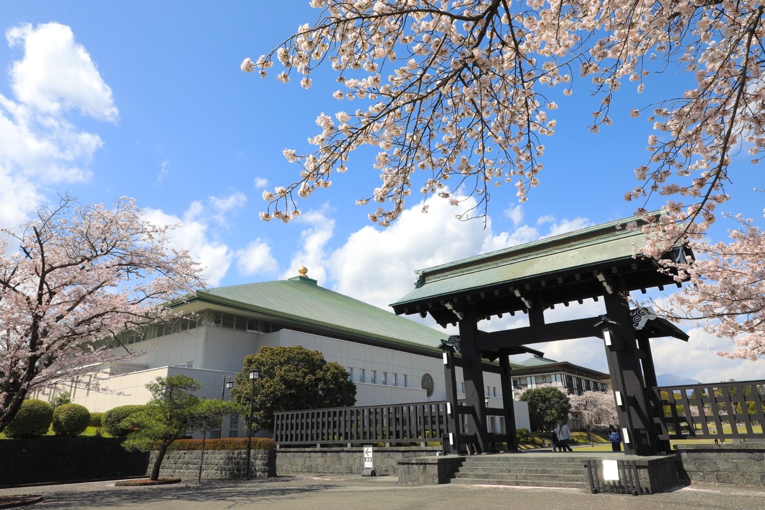 placeholder image-sq