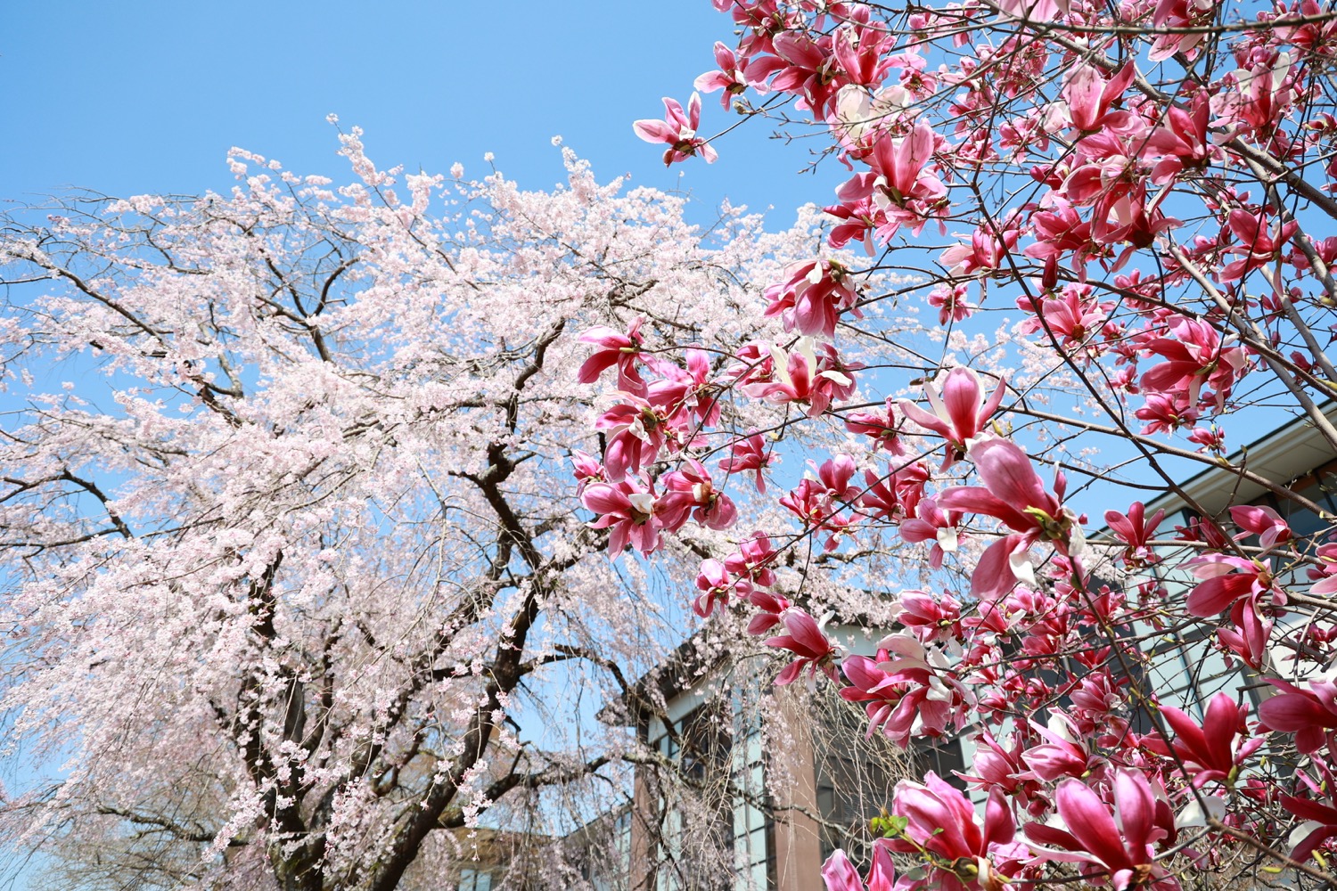 placeholder image-sq