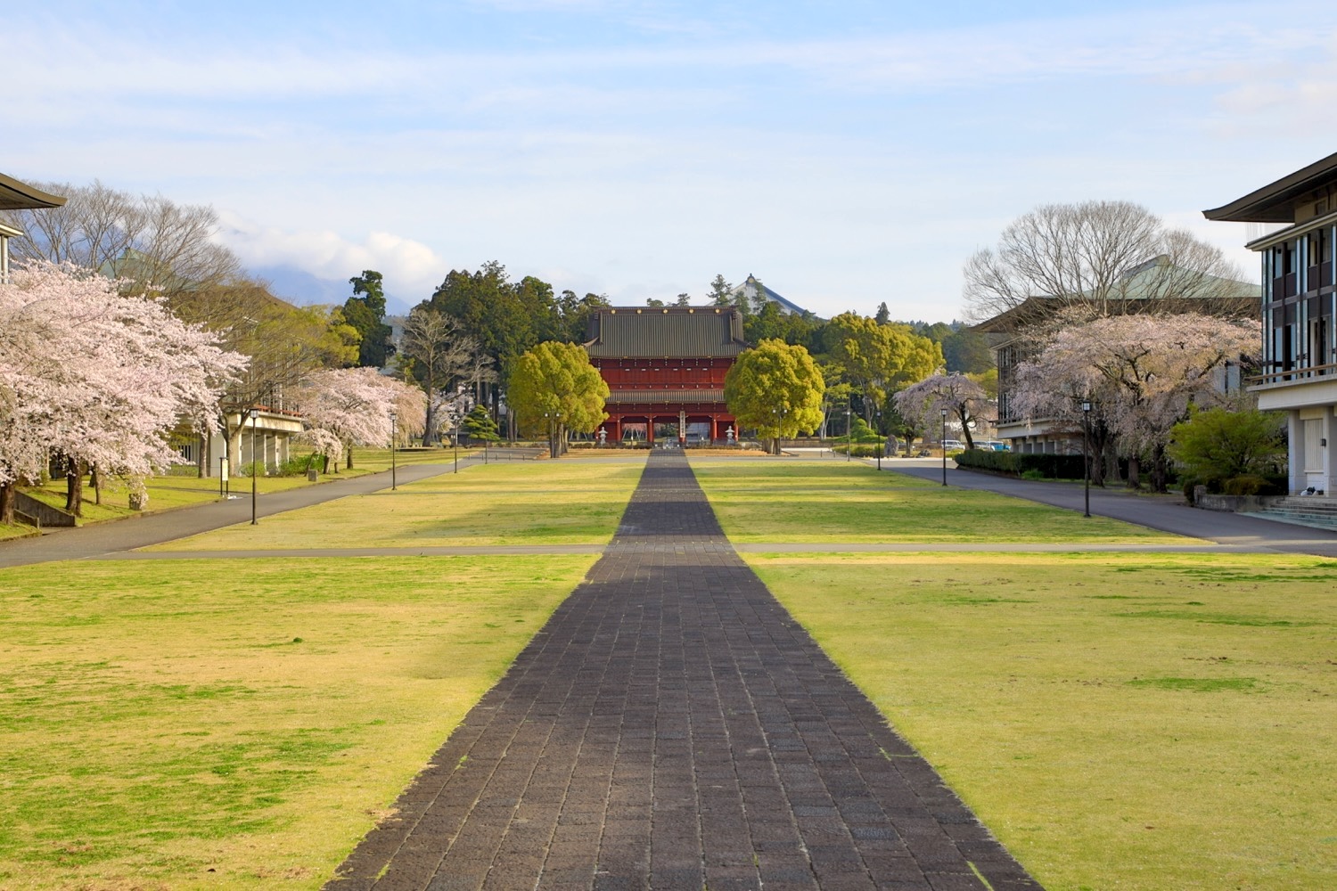 placeholder image-sq