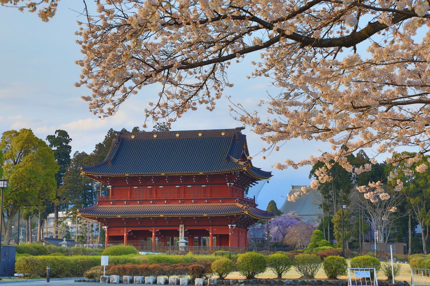 placeholder image-sq