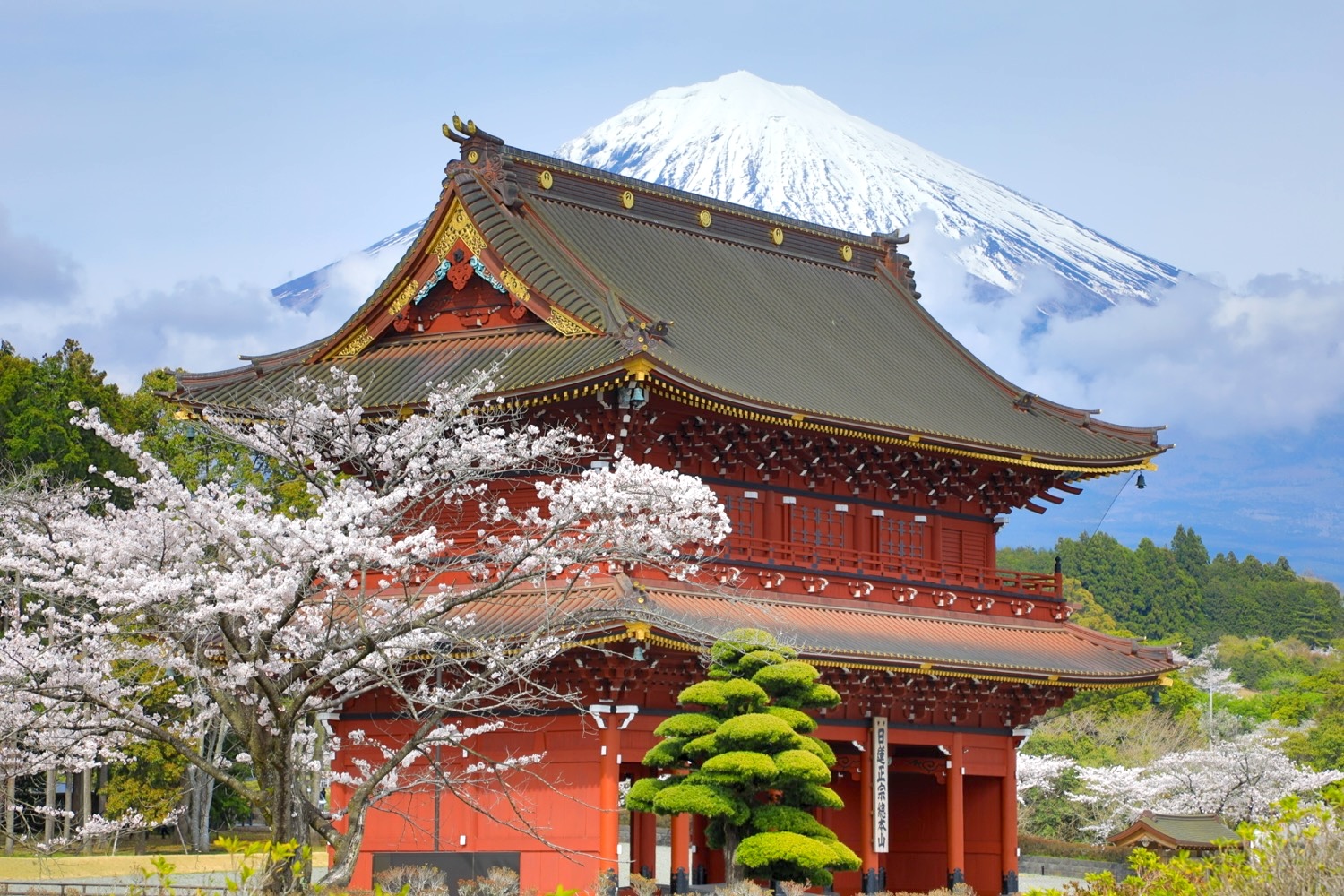 placeholder image-sq