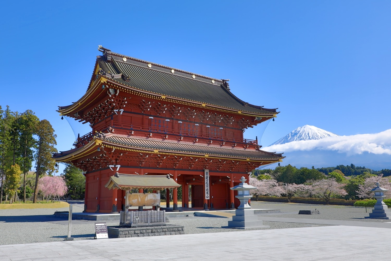 placeholder image-sq