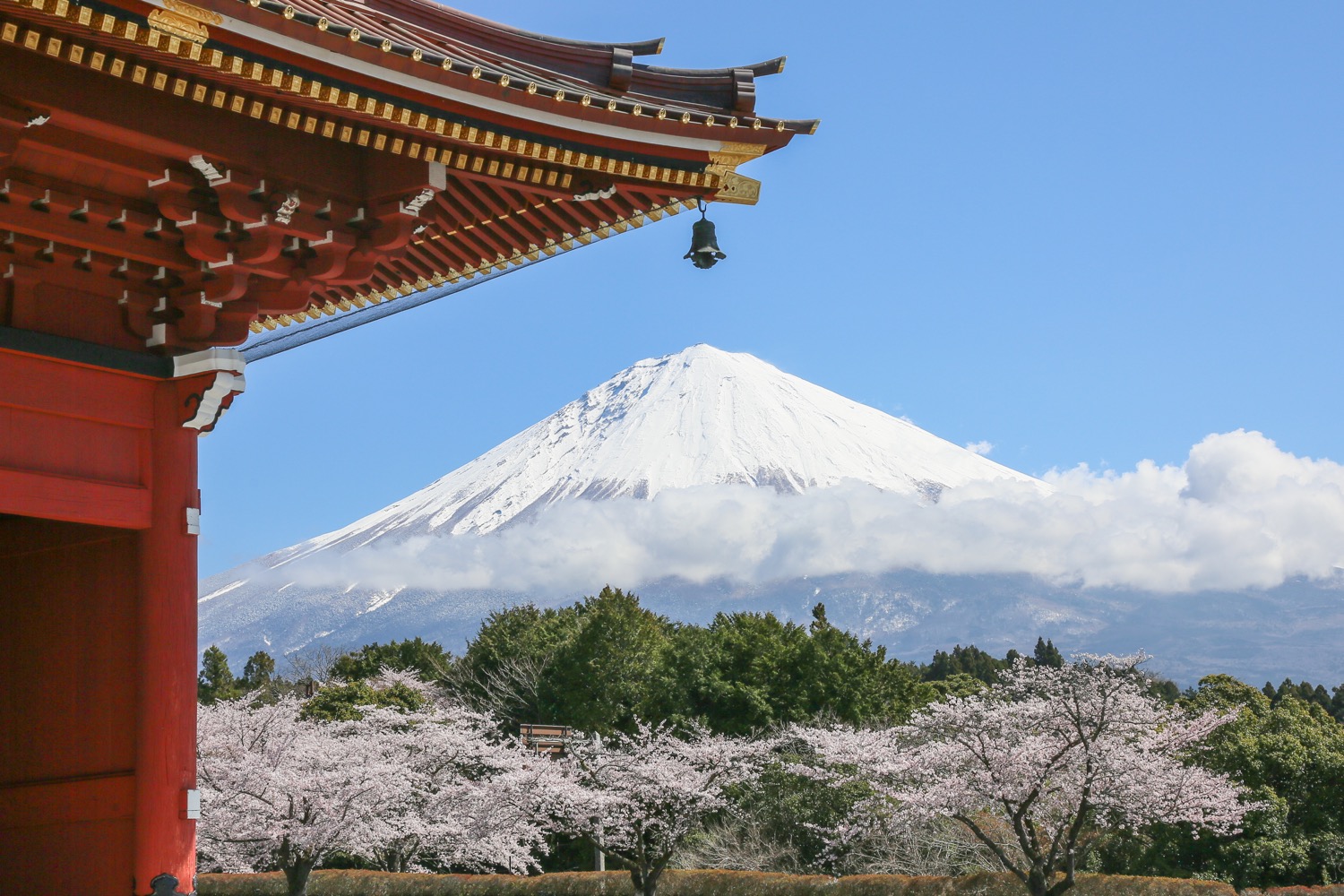 placeholder image-sq