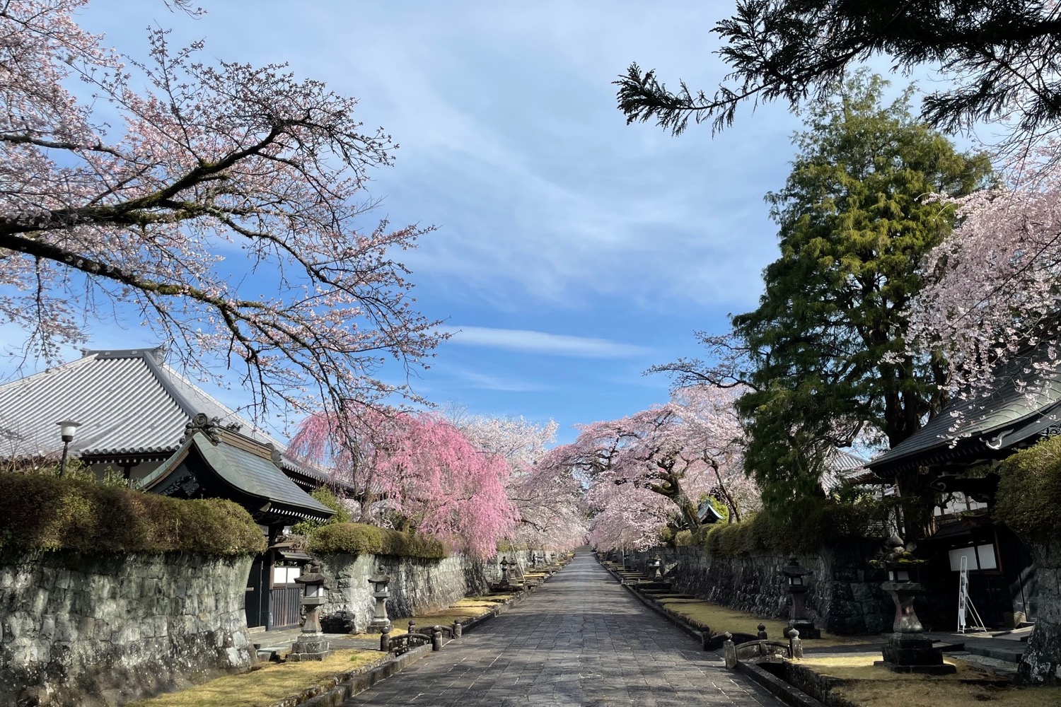 placeholder image-sq