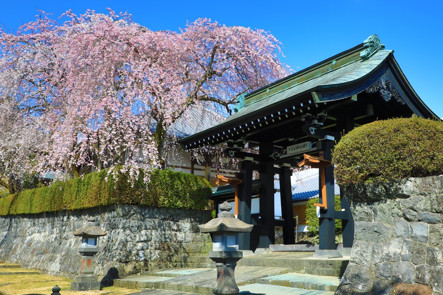 placeholder image-sq