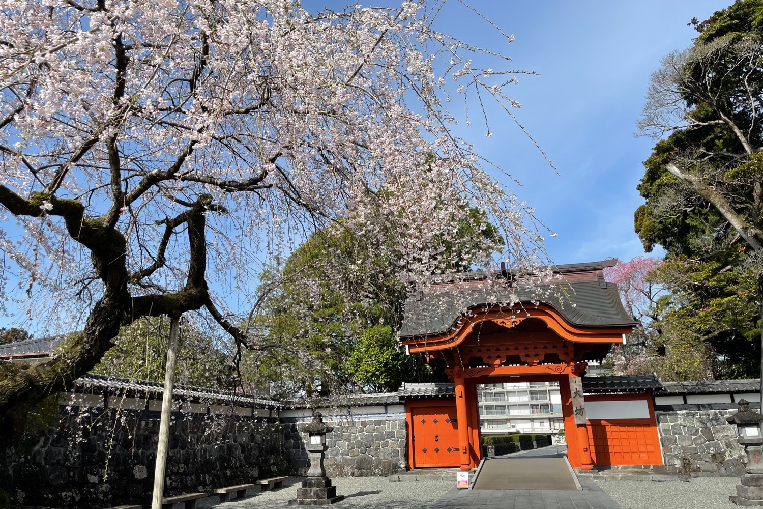 placeholder image-sq