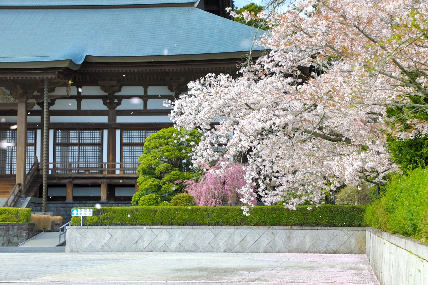 placeholder image-sq