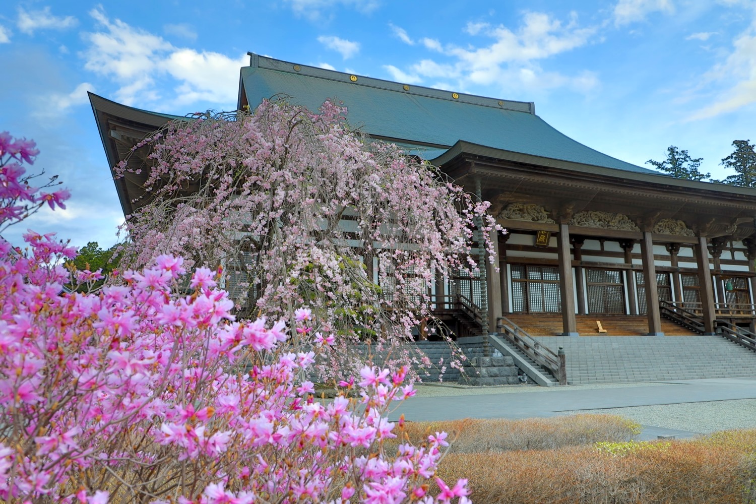 placeholder image-sq