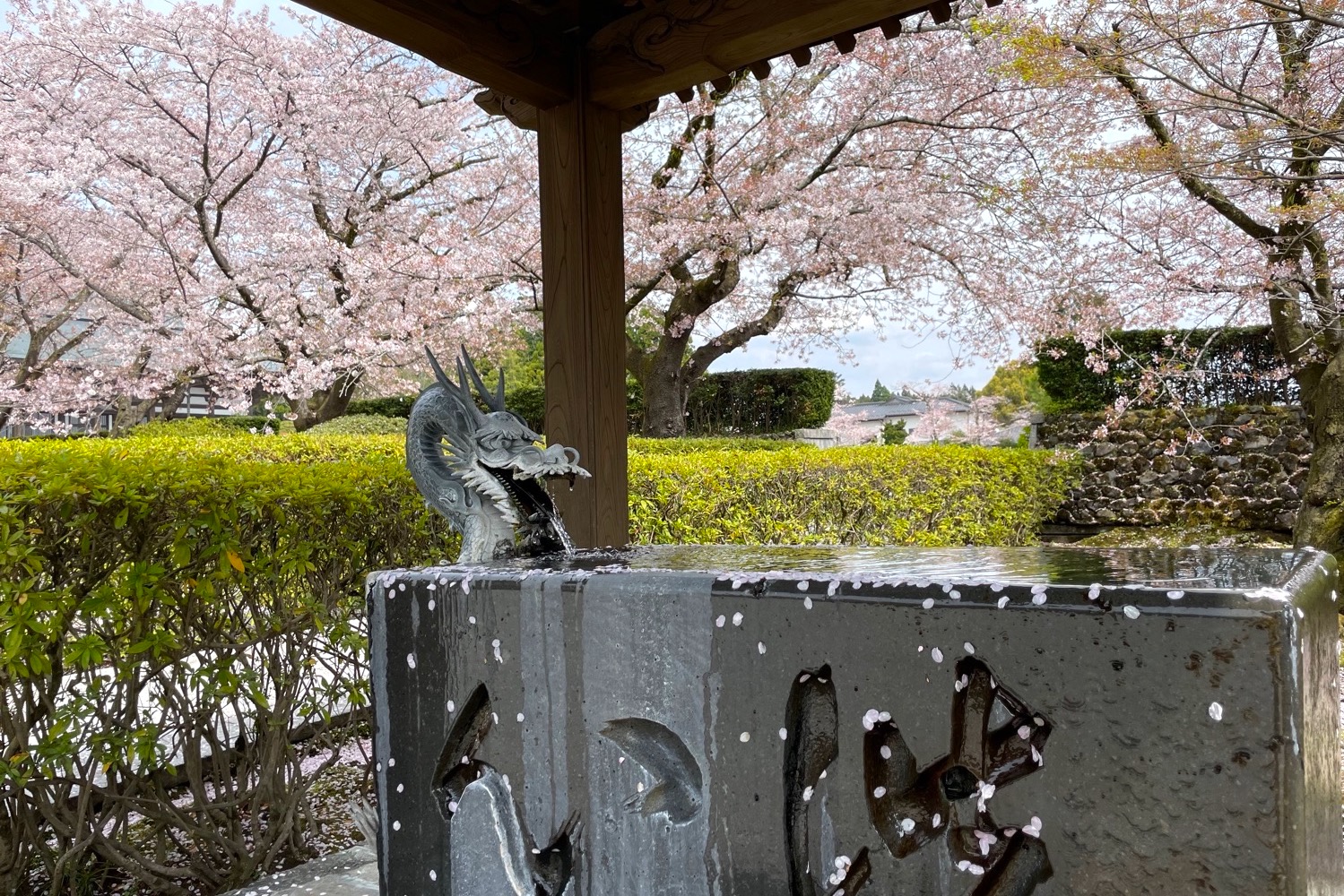 placeholder image-sq