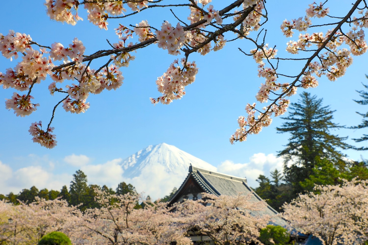 placeholder image-sq