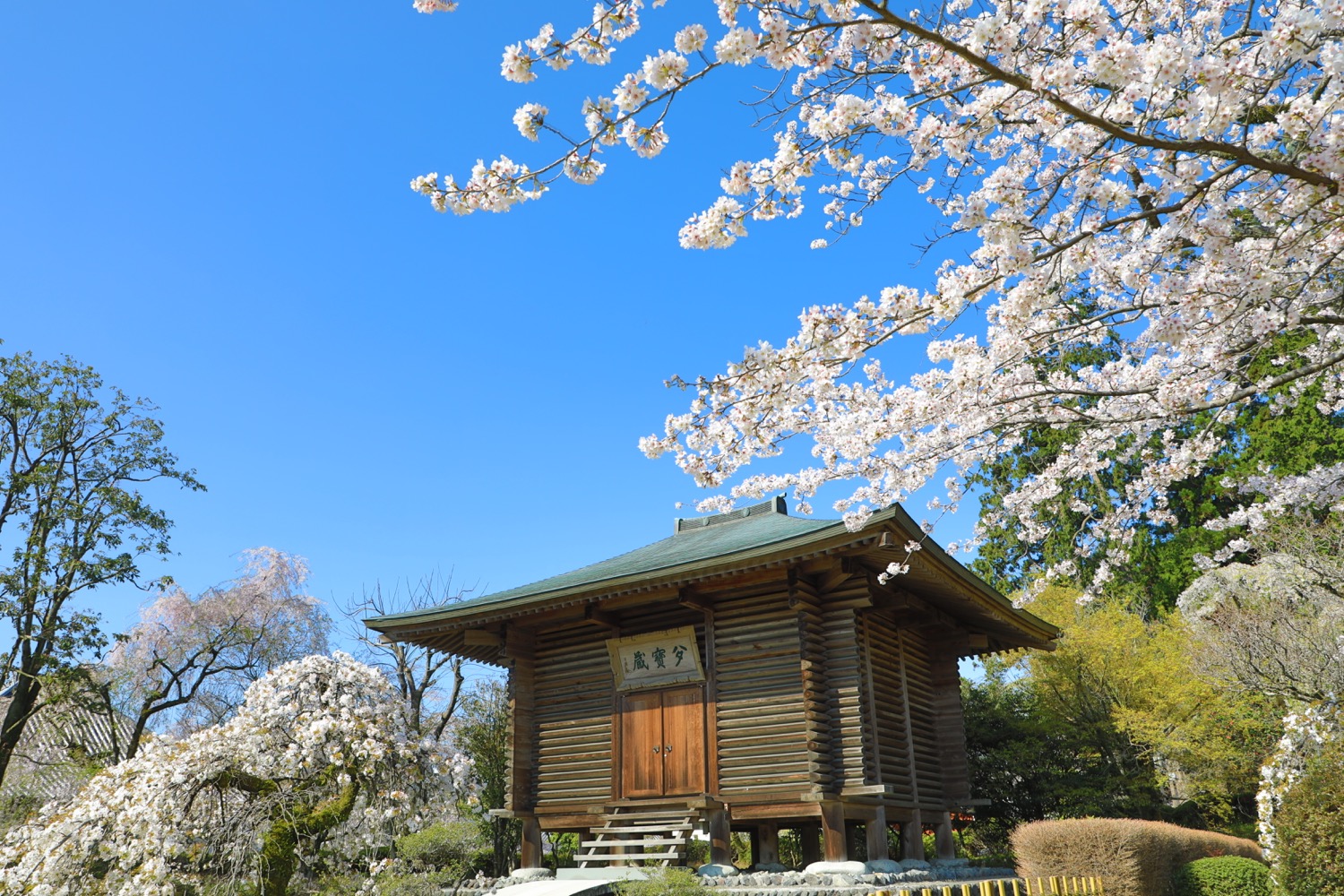 placeholder image-sq