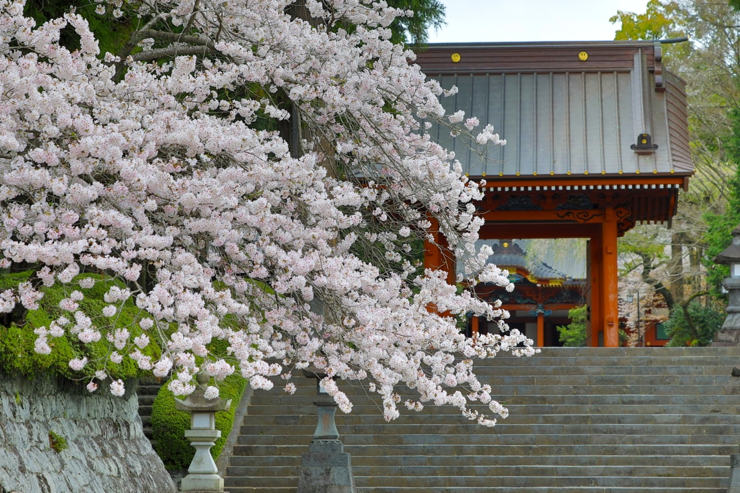 placeholder image-sq