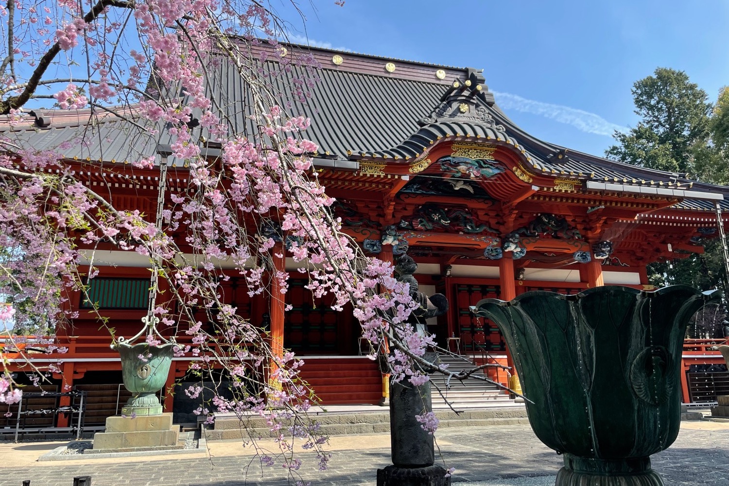 placeholder image-sq