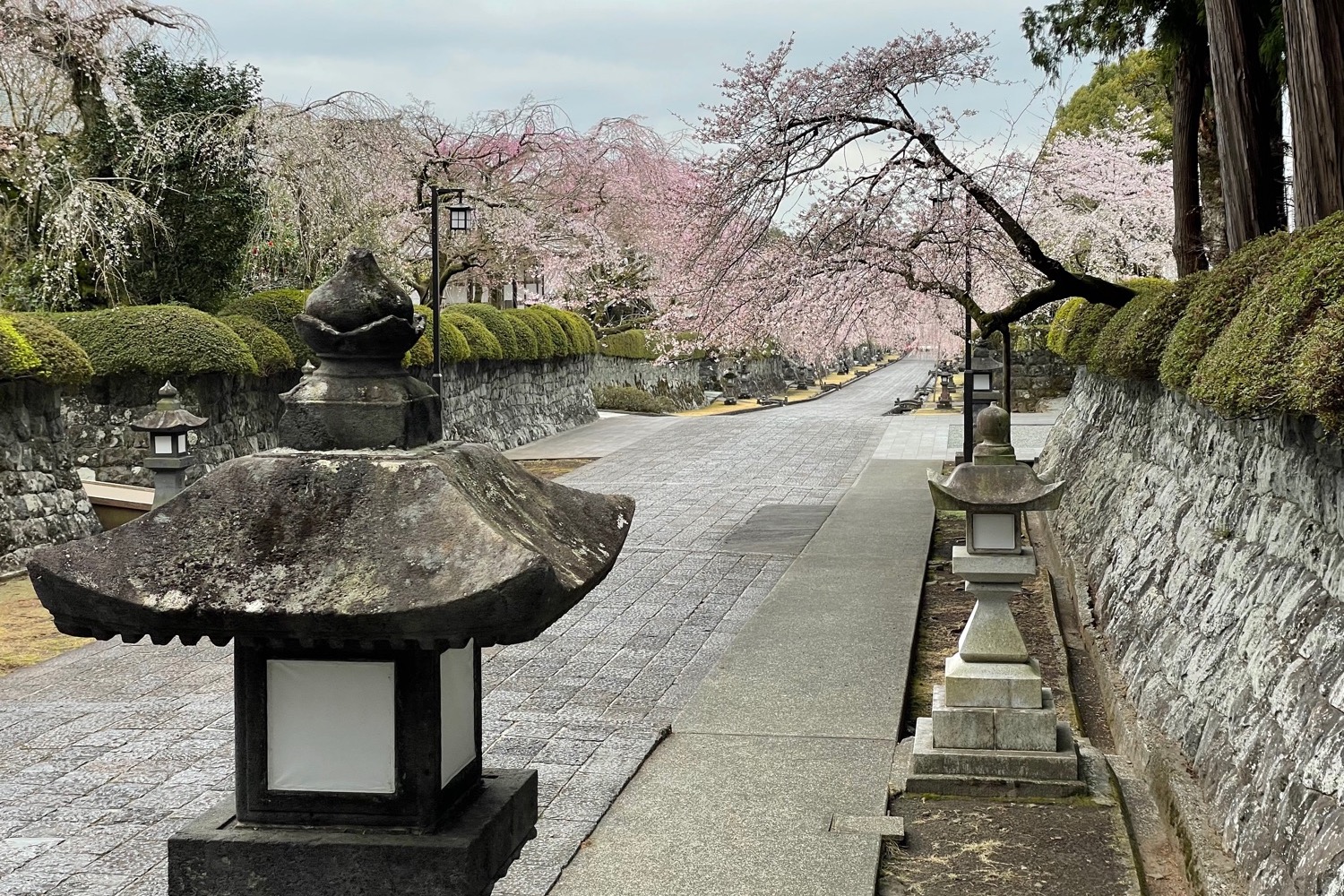 placeholder image-sq