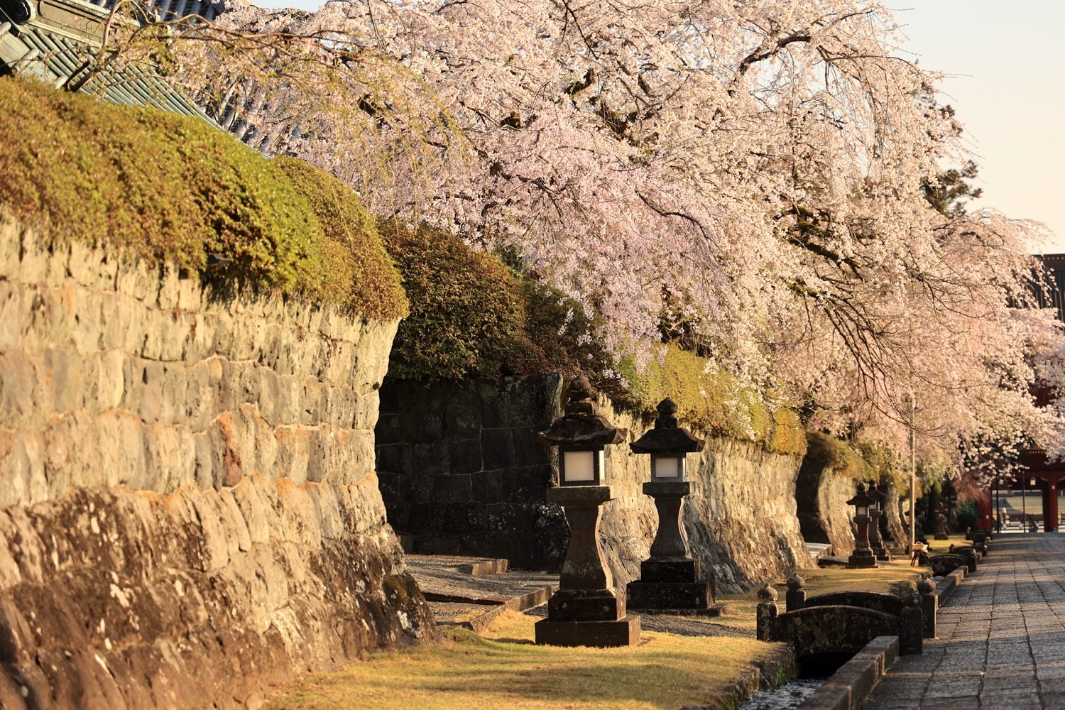 placeholder image-sq