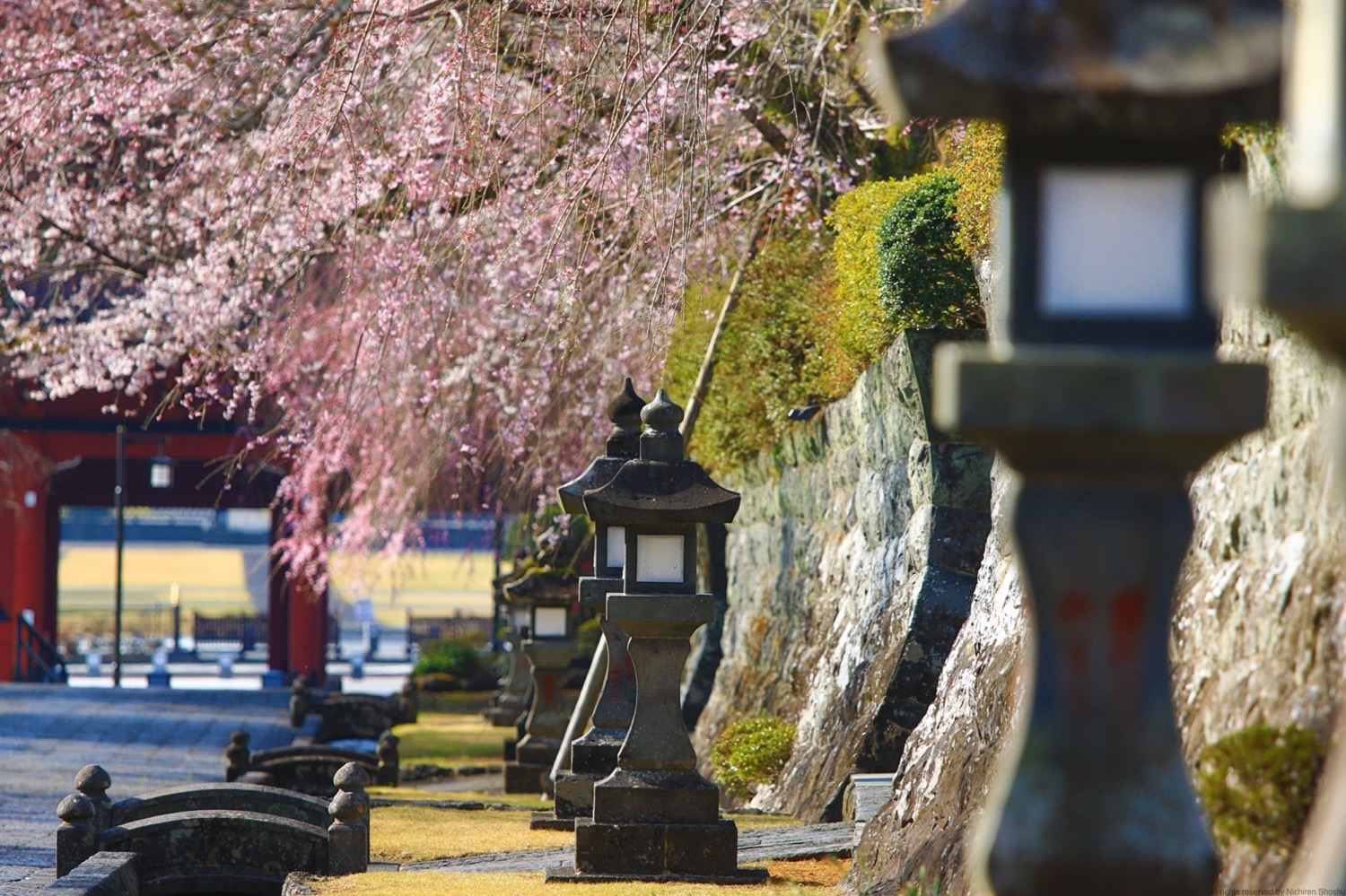 placeholder image-sq