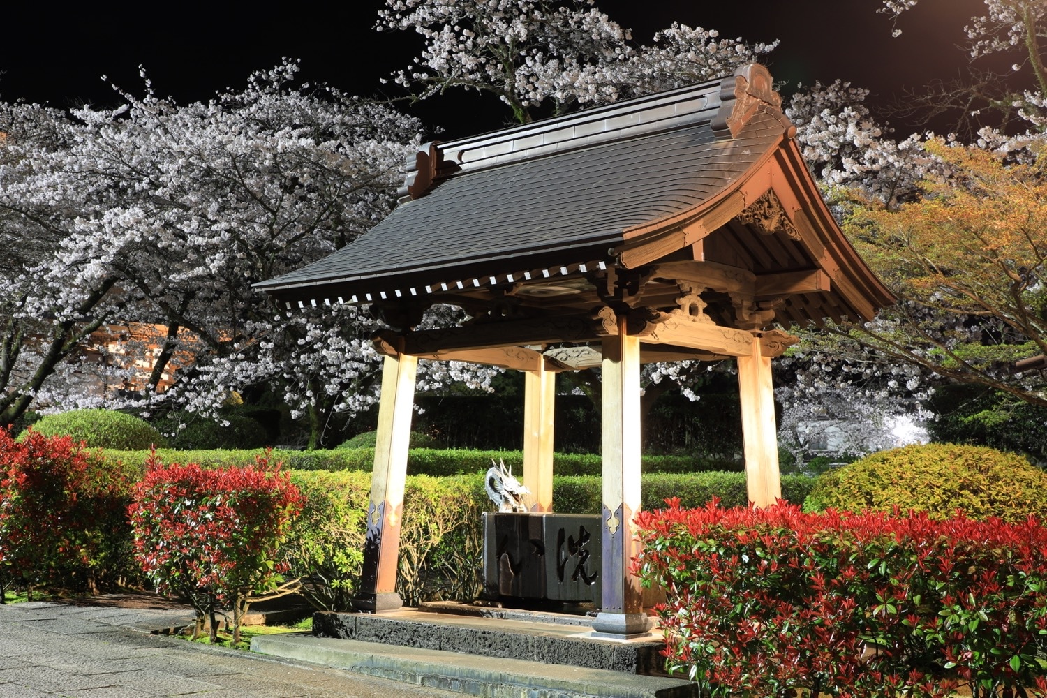 placeholder image-sq