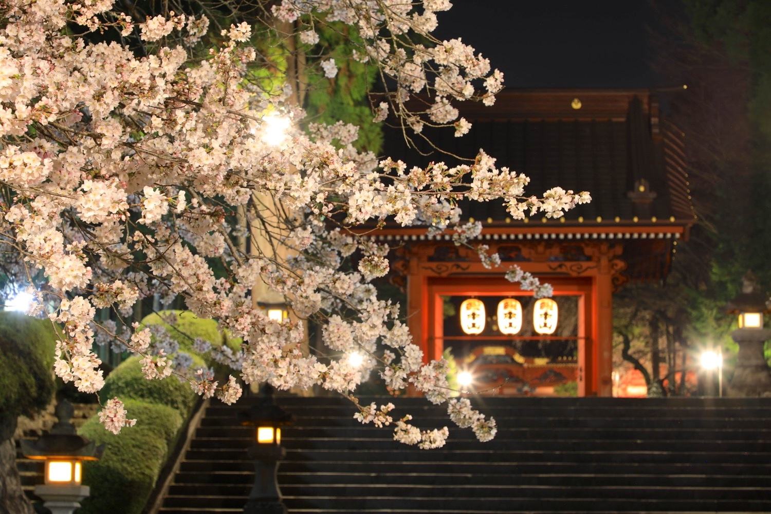 placeholder image-sq