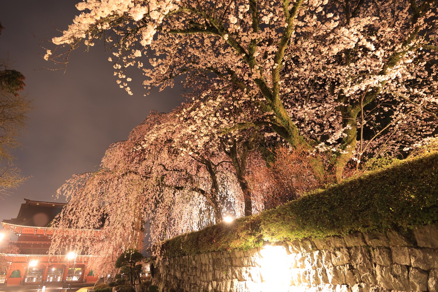 placeholder image-sq