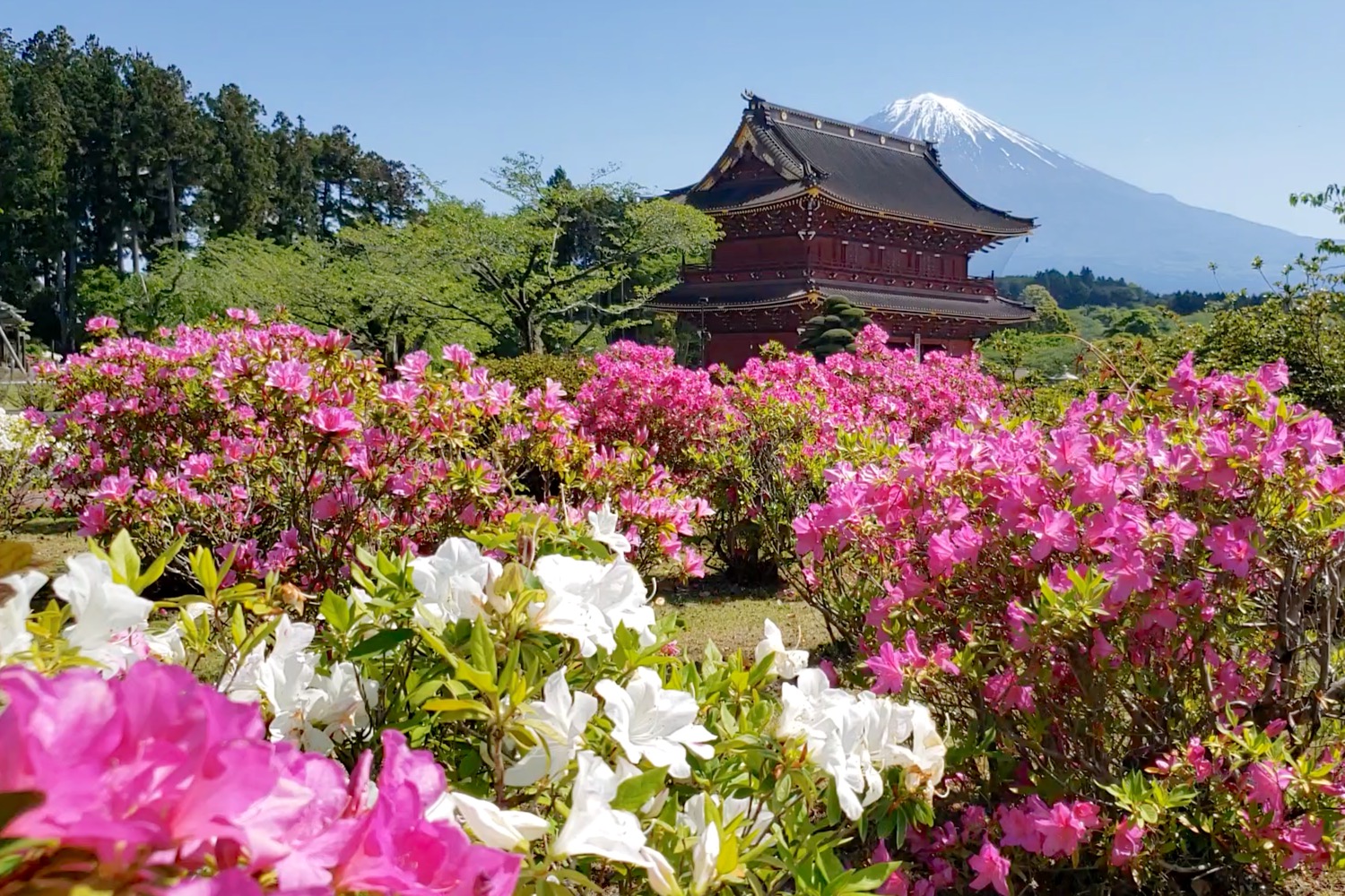 placeholder image-sq