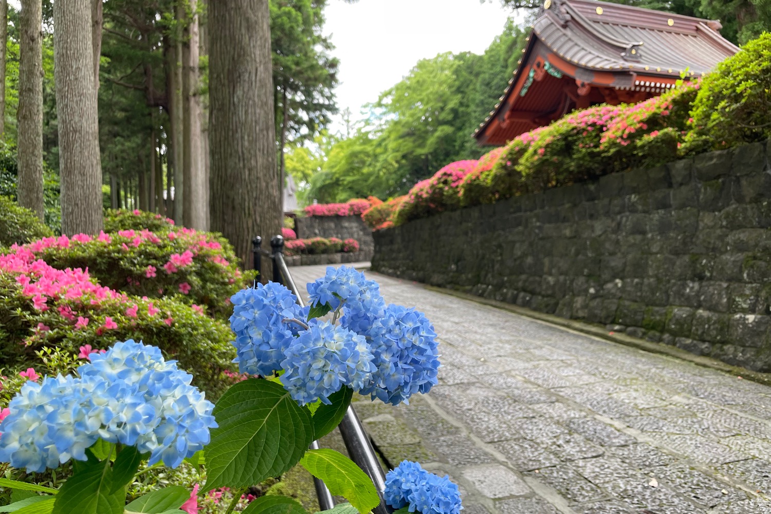 placeholder image-sq