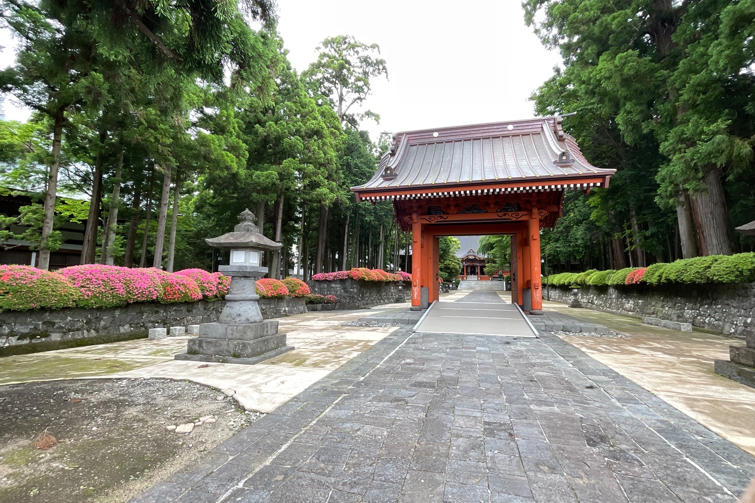 placeholder image-sq