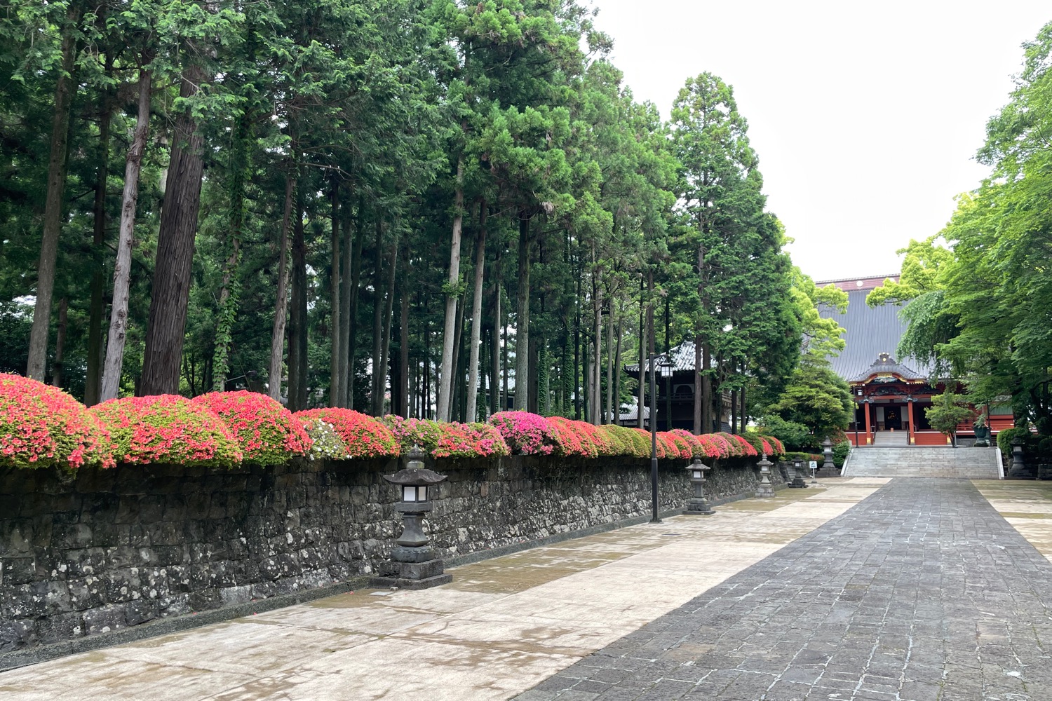 placeholder image-sq