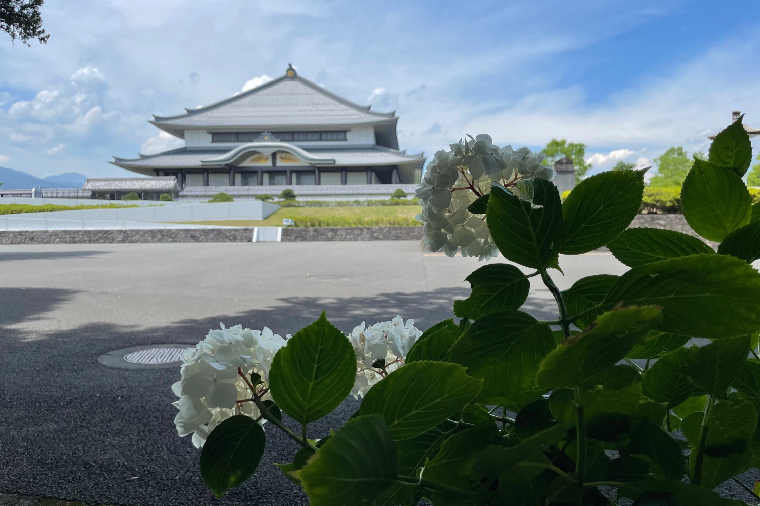 placeholder image-sq