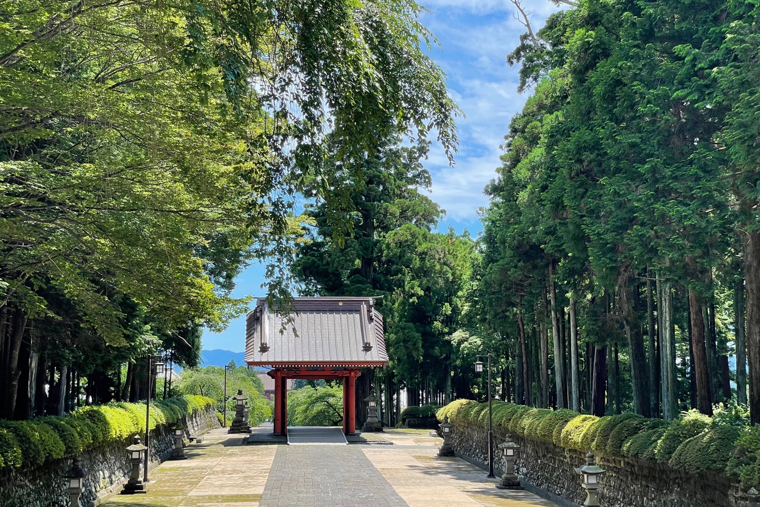 placeholder image-sq