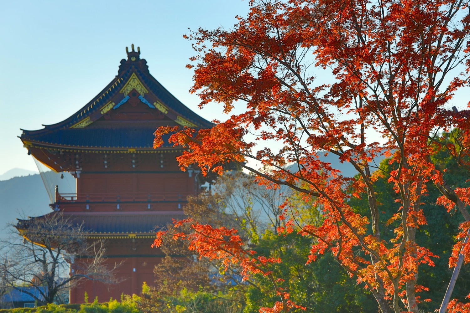 placeholder image-sq