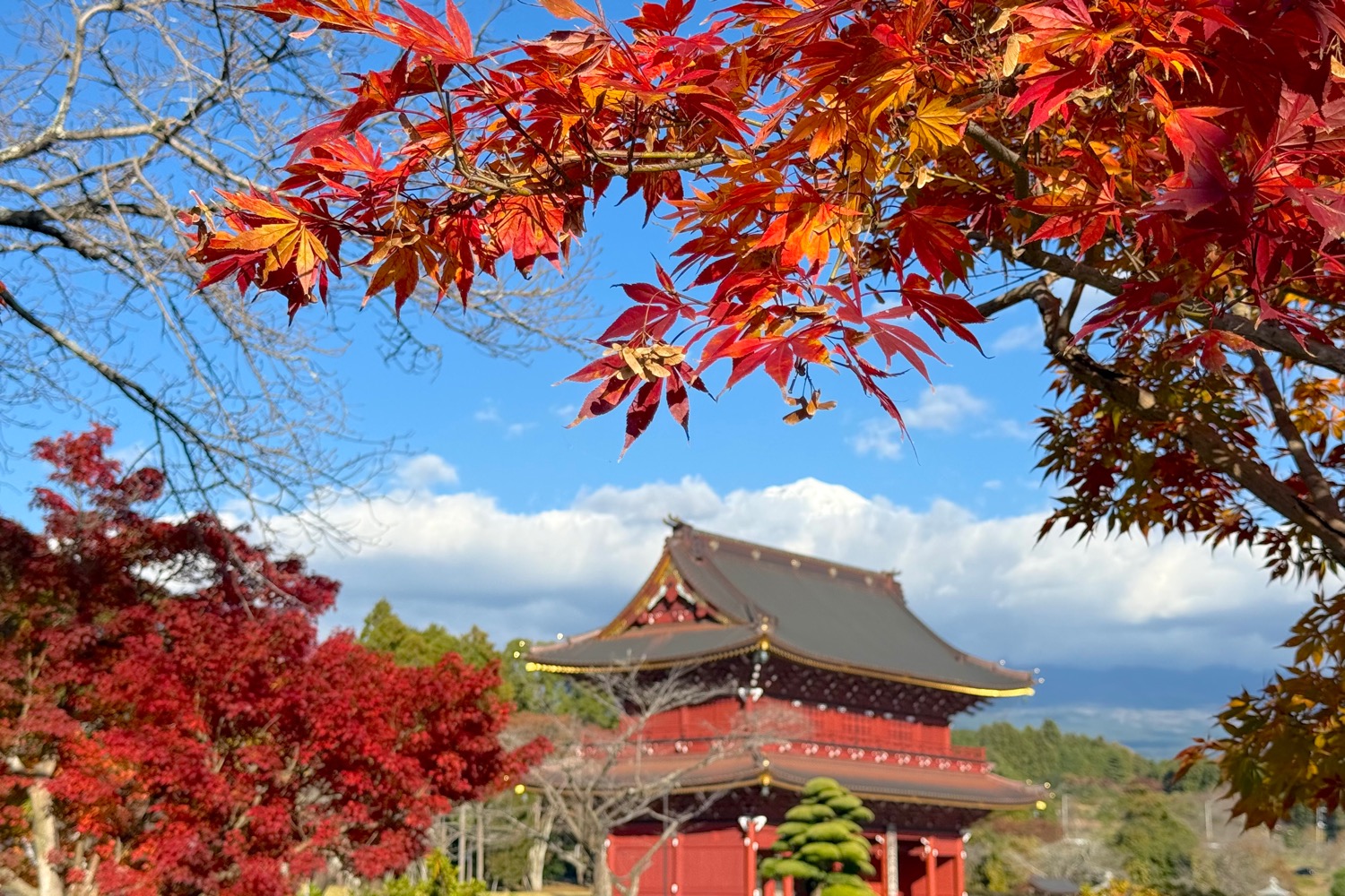 placeholder image-sq