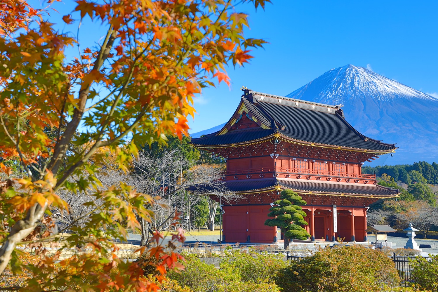 placeholder image-sq