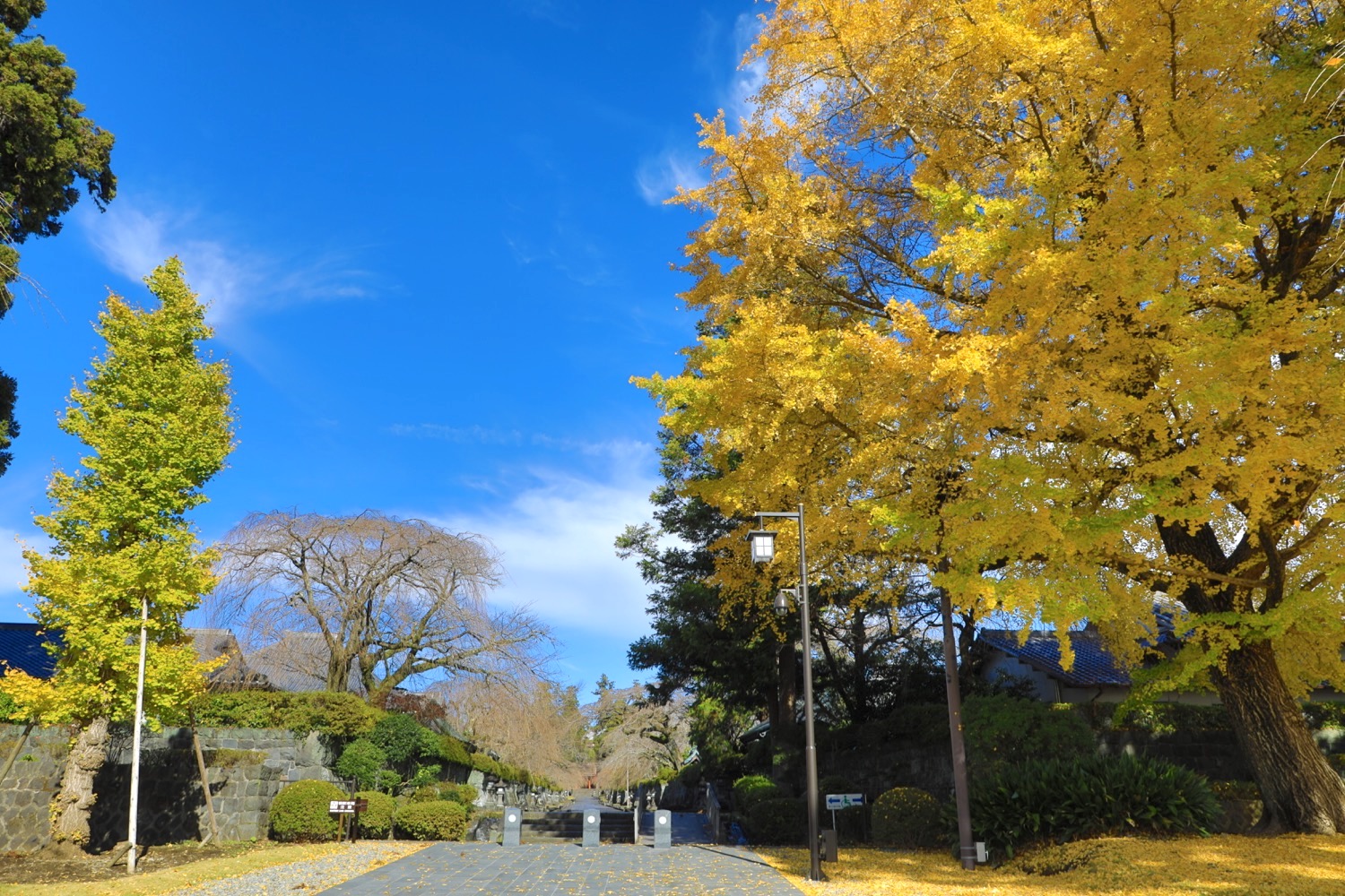 placeholder image-sq