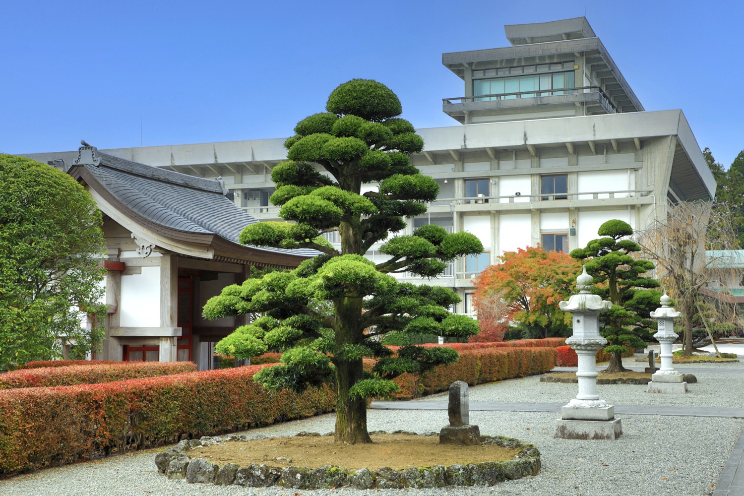 placeholder image-sq