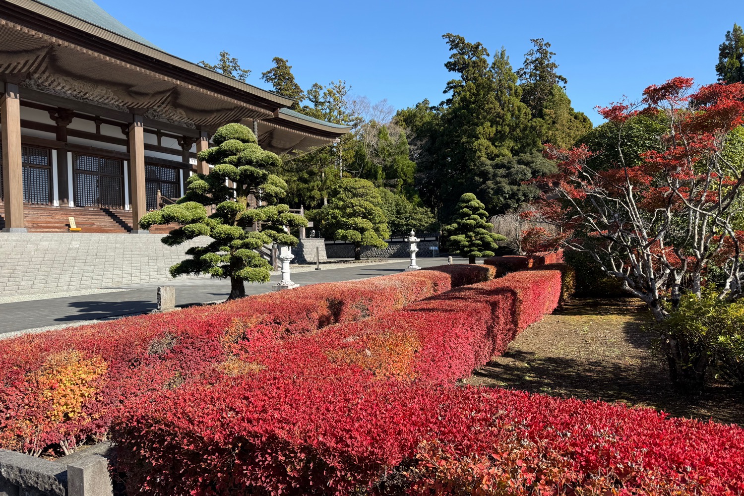 placeholder image-sq