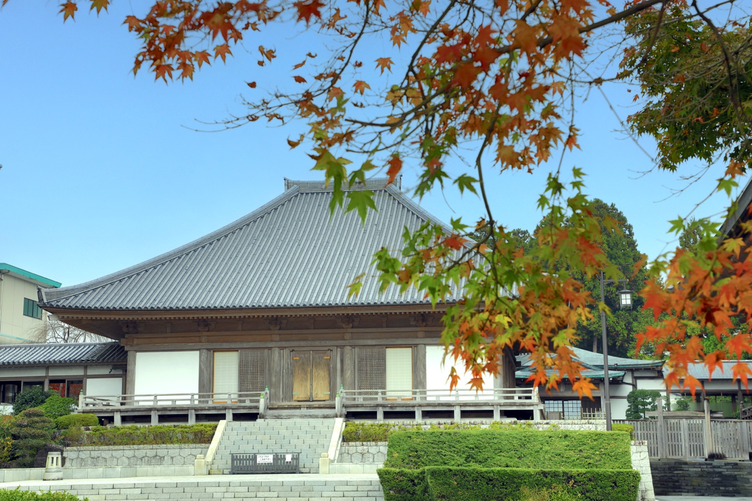 placeholder image-sq