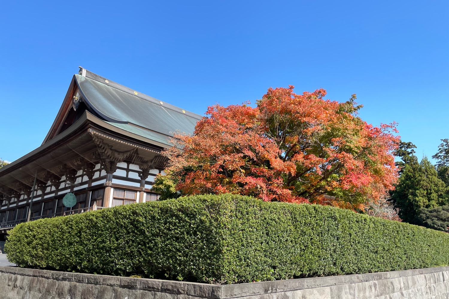 placeholder image-sq