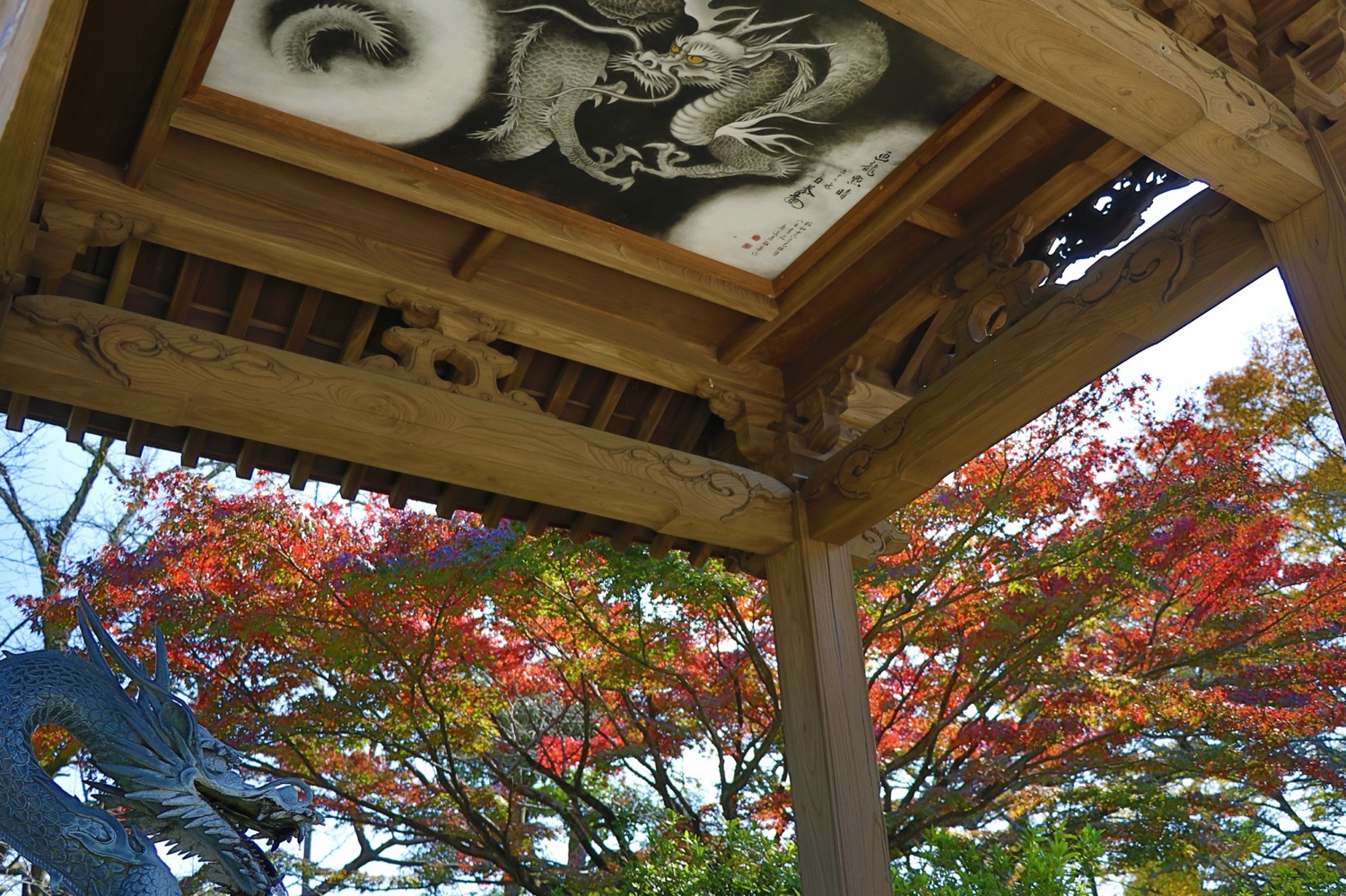 placeholder image-sq