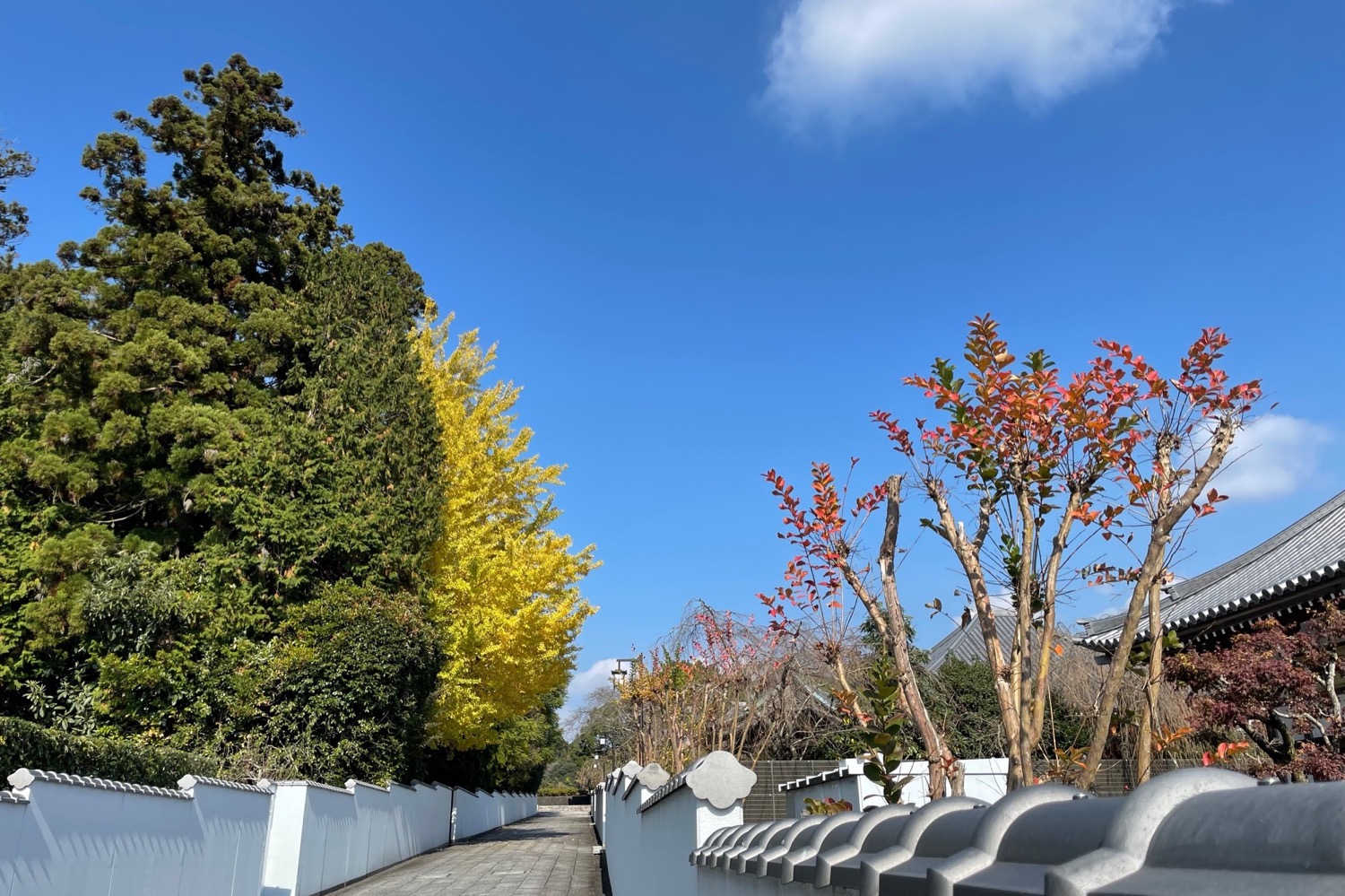 placeholder image-sq