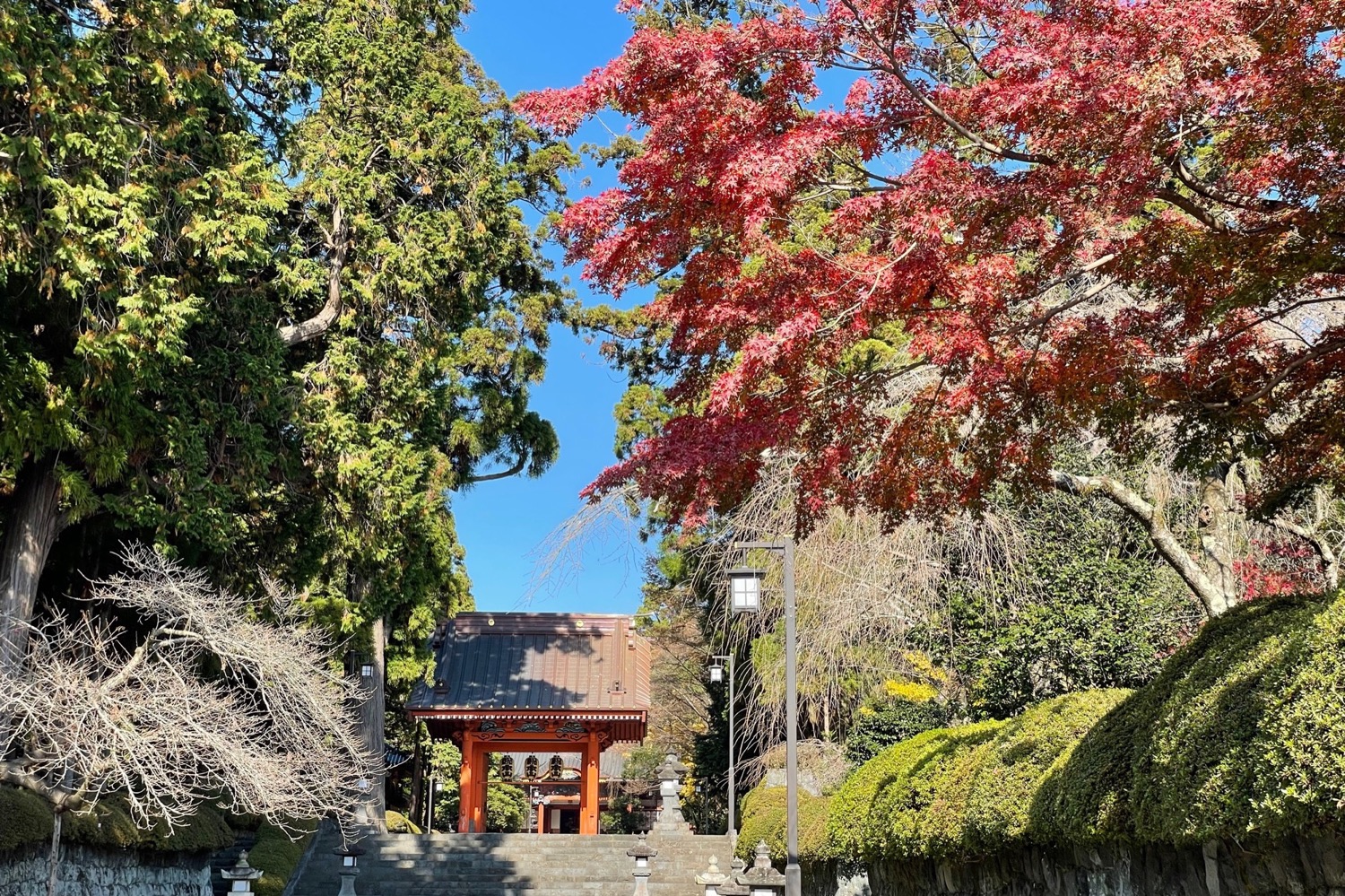 placeholder image-sq