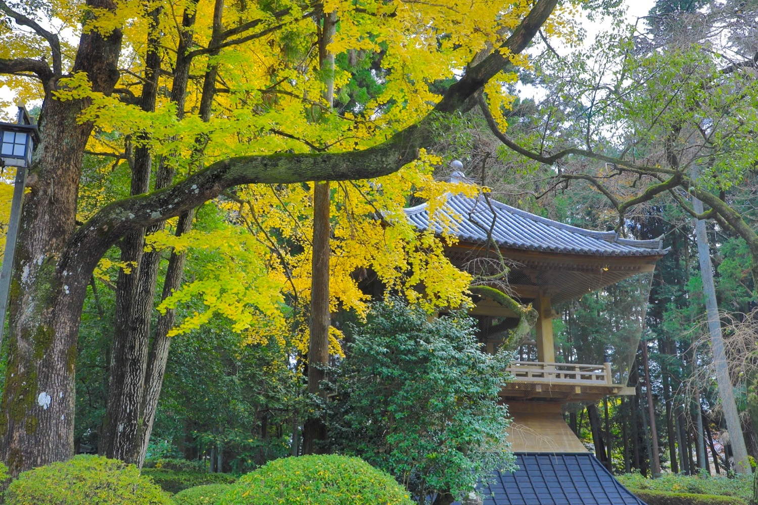 placeholder image-sq