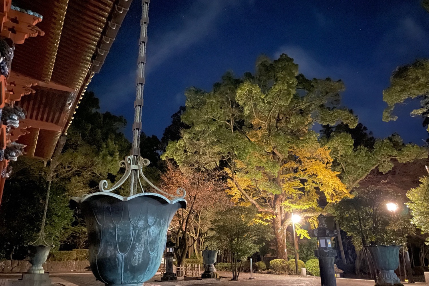 placeholder image-sq