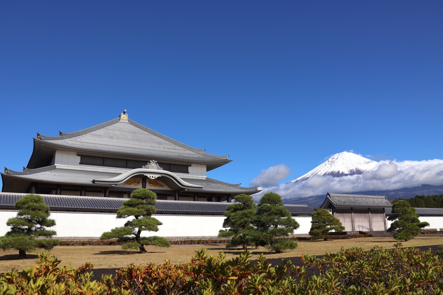 placeholder image-sq