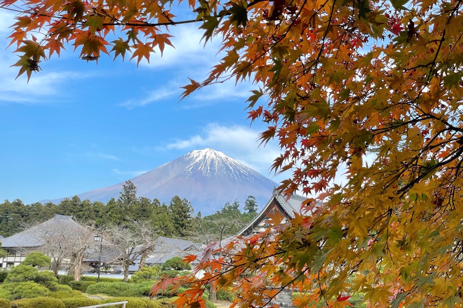 placeholder image-sq