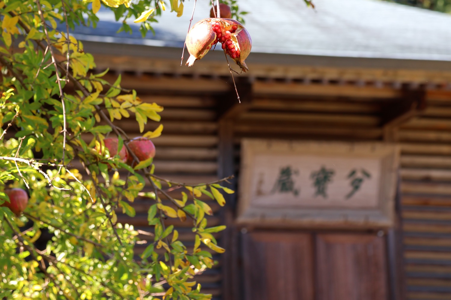 placeholder image-sq