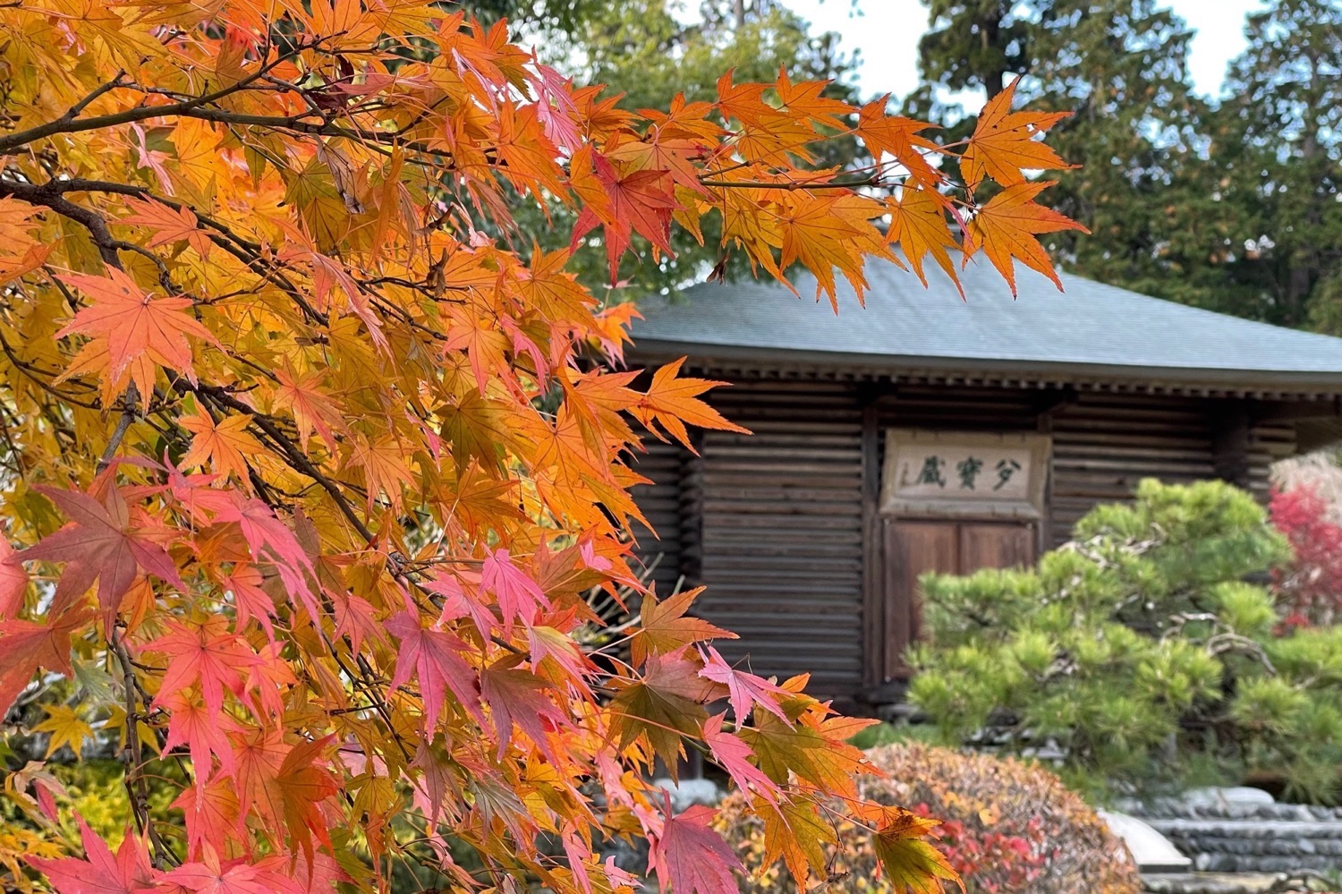 placeholder image-sq