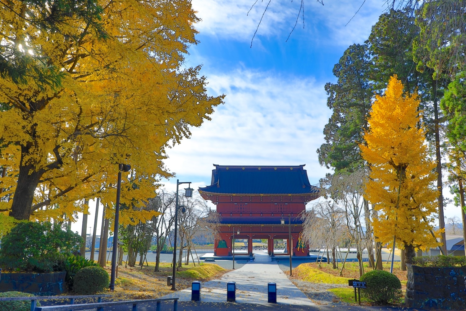 placeholder image-sq