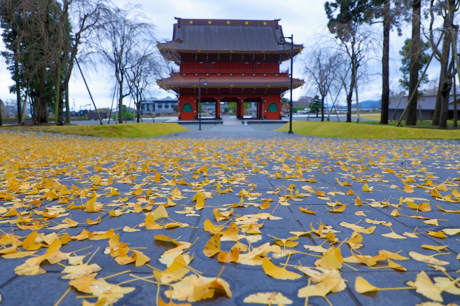 placeholder image-sq