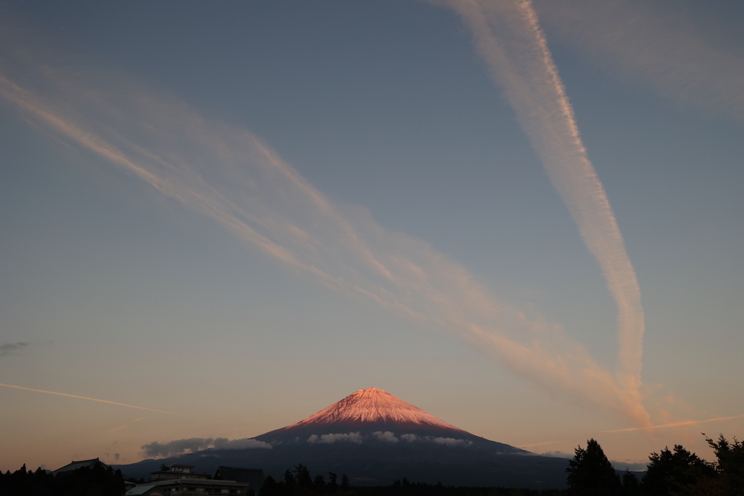 placeholder image-sq