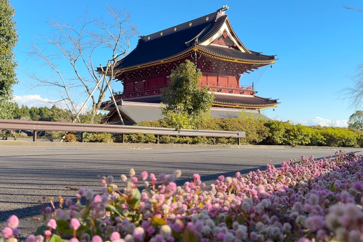 placeholder image-sq